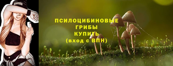 spice Баксан