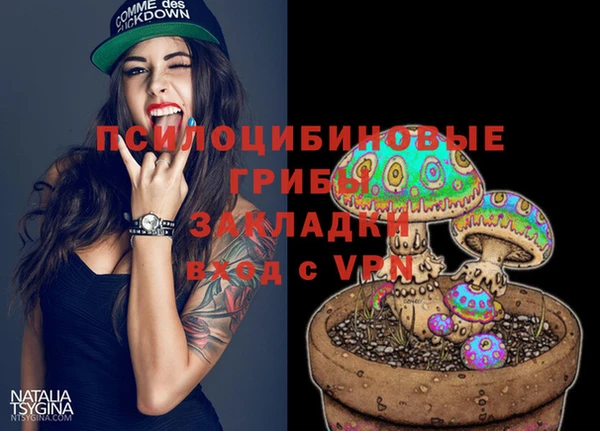 хмурый Арсеньев